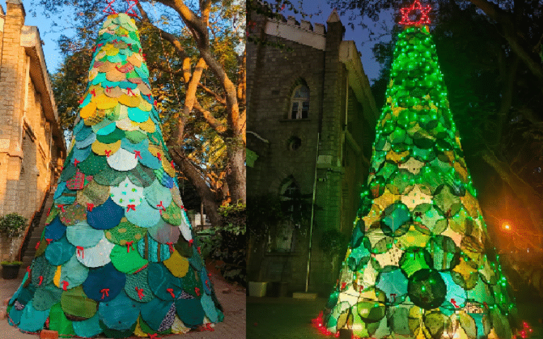2025: Christmas Tree